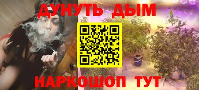 гашик Краснознаменск