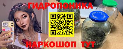 гашик Краснознаменск
